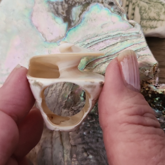 Sea Shell Ring - Picture 2 of 7